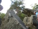2014-06-05 10-39-17 Foret de Fontainebleau FGn